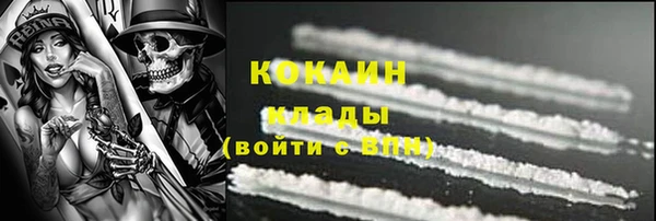 ГАЛЛЮЦИНОГЕННЫЕ ГРИБЫ Верея