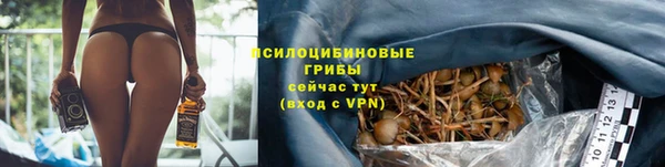 ГАЛЛЮЦИНОГЕННЫЕ ГРИБЫ Верея