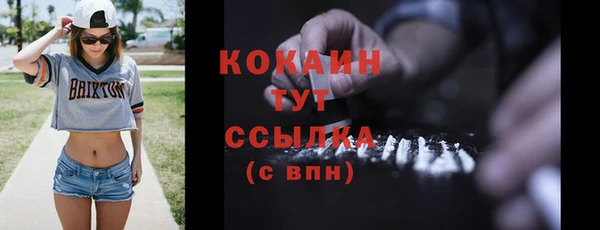 ГАЛЛЮЦИНОГЕННЫЕ ГРИБЫ Верея