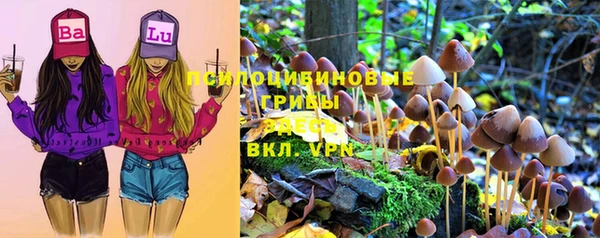 ГАЛЛЮЦИНОГЕННЫЕ ГРИБЫ Верея