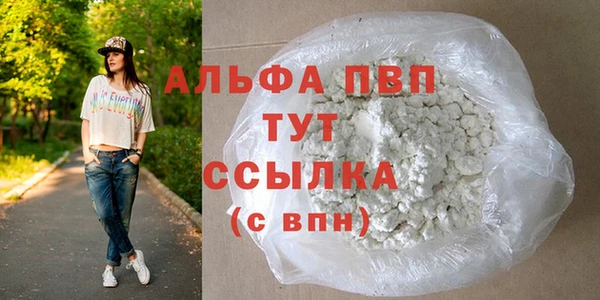 ГАЛЛЮЦИНОГЕННЫЕ ГРИБЫ Верея