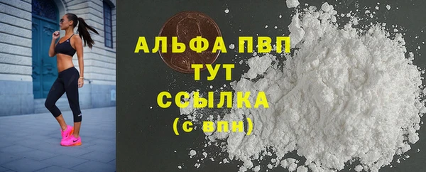 ГАЛЛЮЦИНОГЕННЫЕ ГРИБЫ Верея