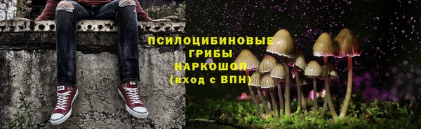 ГАЛЛЮЦИНОГЕННЫЕ ГРИБЫ Верея