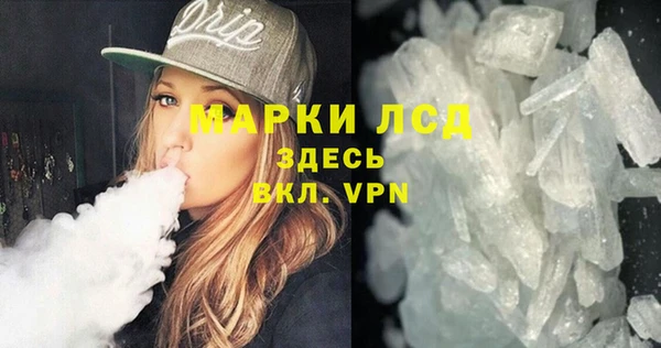 ГАЛЛЮЦИНОГЕННЫЕ ГРИБЫ Верея